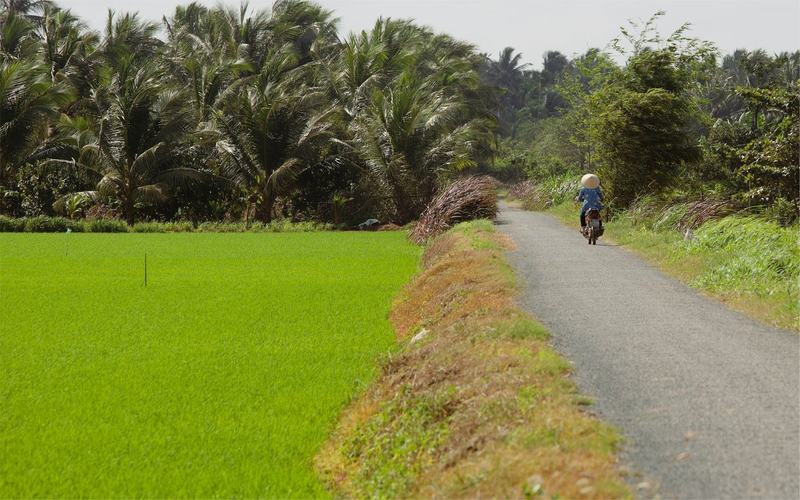 Vietnam 3